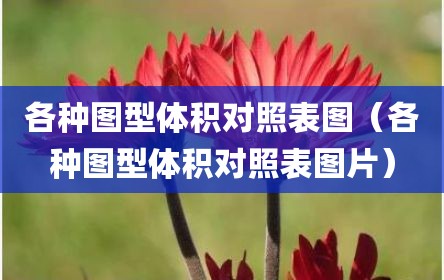 各种图型体积对照表图（各种图型体积对照表图片）