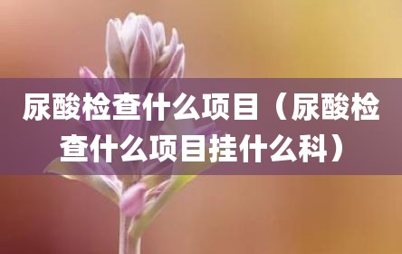 尿酸检查什么项目（尿酸检查什么项目挂什么科）