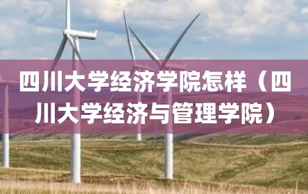 四川大学经济学院怎样（四川大学经济与管理学院）