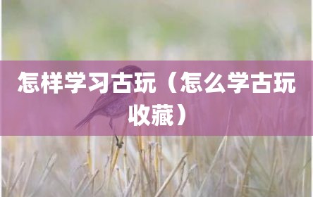 怎样学习古玩（怎么学古玩收藏）
