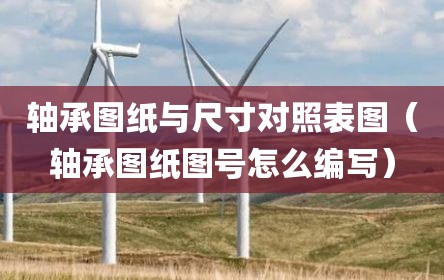 轴承图纸与尺寸对照表图（轴承图纸图号怎么编写）