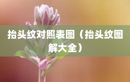 抬头纹对照表图（抬头纹图解大全）