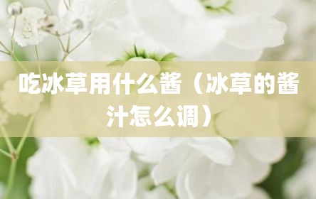 吃冰草用什么酱（冰草的酱汁怎么调）