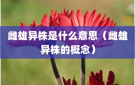 雌雄异株是什么意思（雌雄异株的概念）