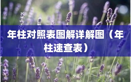 年柱对照表图解详解图（年柱速查表）