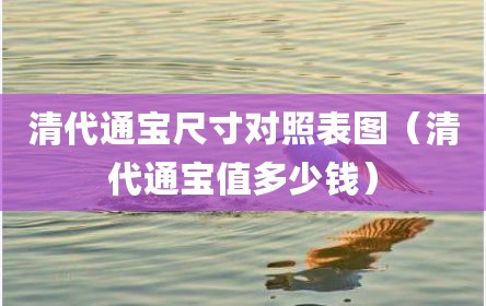 清代通宝尺寸对照表图（清代通宝值多少钱）