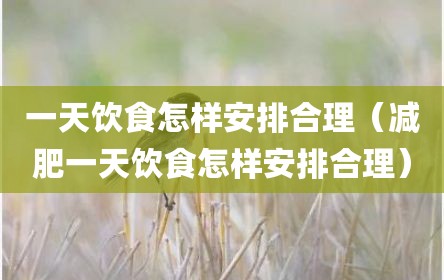 一天饮食怎样安排合理（减肥一天饮食怎样安排合理）