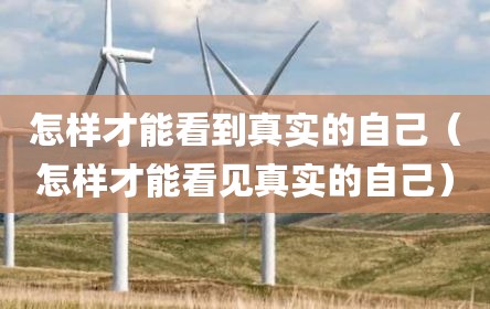 怎样才能看到真实的自己（怎样才能看见真实的自己）