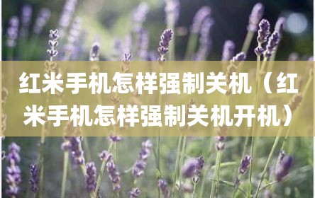 红米手机怎样强制关机（红米手机怎样强制关机开机）