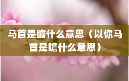 马首是瞻什么意思（以你马首是瞻什么意思）