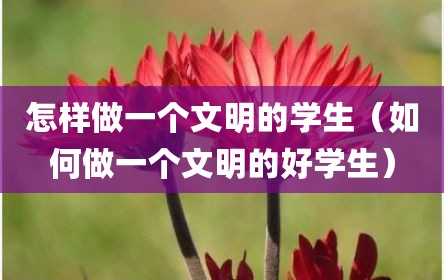 怎样做一个文明的学生（如何做一个文明的好学生）