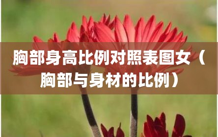 胸部身高比例对照表图女（胸部与身材的比例）