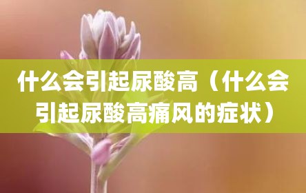 什么会引起尿酸高（什么会引起尿酸高痛风的症状）