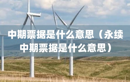 中期票据是什么意思（永续中期票据是什么意思）