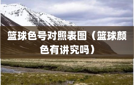 篮球色号对照表图（篮球颜色有讲究吗）