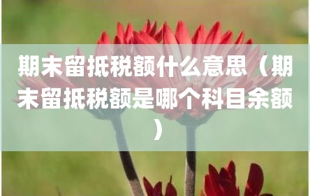 期末留抵税额什么意思（期末留抵税额是哪个科目余额）