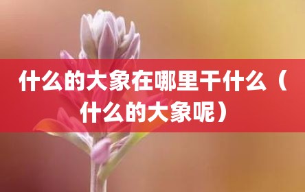 什么的大象在哪里干什么（什么的大象呢）