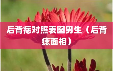 后背痣对照表图男生（后背痣面相）