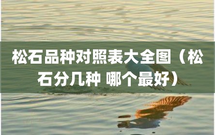 松石品种对照表大全图（松石分几种 哪个最好）