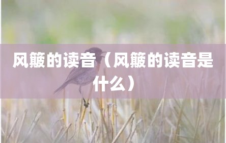 风簸的读音（风簸的读音是什么）