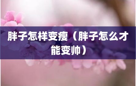 胖子怎样变瘦（胖子怎么才能变帅）