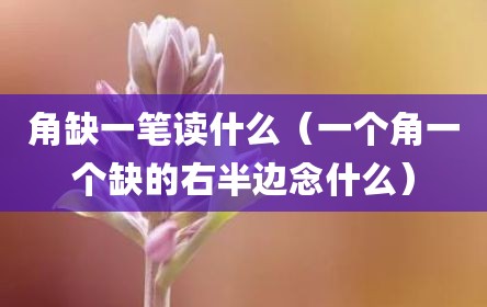 角缺一笔读什么（一个角一个缺的右半边念什么）