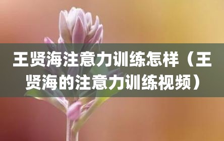 王贤海注意力训练怎样（王贤海的注意力训练视频）