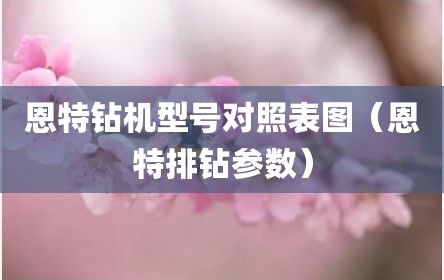 恩特钻机型号对照表图（恩特排钻参数）