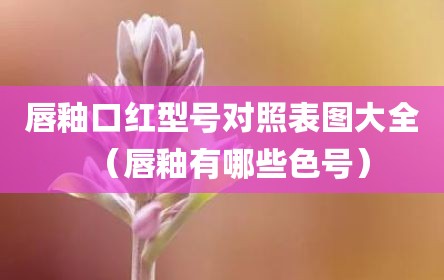 唇釉口红型号对照表图大全（唇釉有哪些色号）