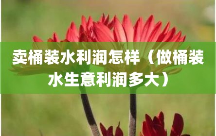 卖桶装水利润怎样（做桶装水生意利润多大）
