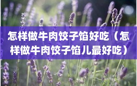 怎样做牛肉饺子馅好吃（怎样做牛肉饺子馅儿最好吃）