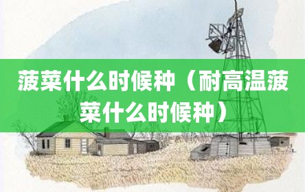 菠菜什么时候种（耐高温菠菜什么时候种）