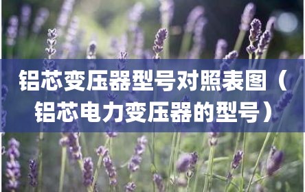 铝芯变压器型号对照表图（铝芯电力变压器的型号）