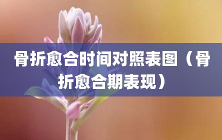 骨折愈合时间对照表图（骨折愈合期表现）