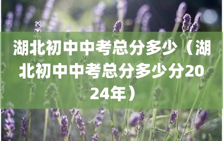 湖北初中中考总分多少（湖北初中中考总分多少分2024年）