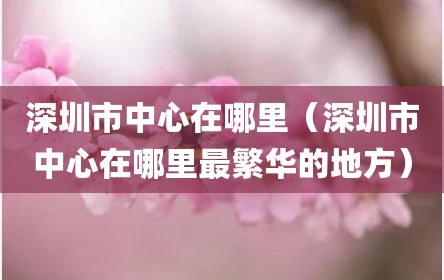 深圳市中心在哪里（深圳市中心在哪里最繁华的地方）
