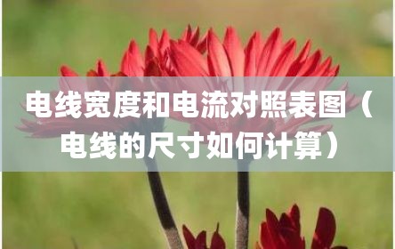 电线宽度和电流对照表图（电线的尺寸如何计算）