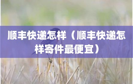 顺丰快递怎样（顺丰快递怎样寄件最便宜）