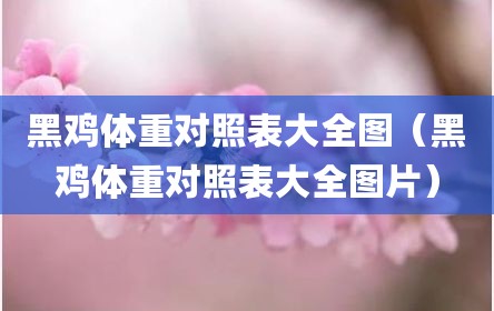 黑鸡体重对照表大全图（黑鸡体重对照表大全图片）
