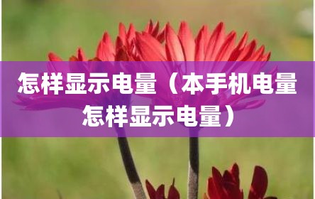 怎样显示电量（本手机电量怎样显示电量）