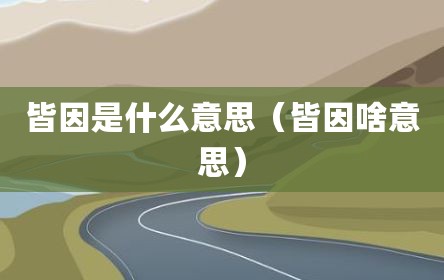 皆因是什么意思（皆因啥意思）
