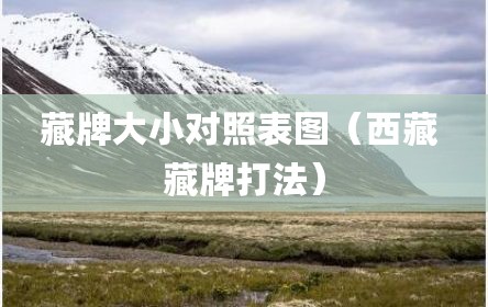 藏牌大小对照表图（西藏 藏牌打法）