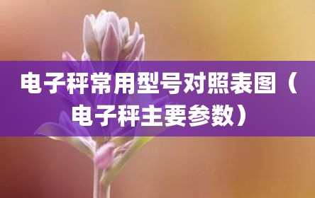 电子秤常用型号对照表图（电子秤主要参数）