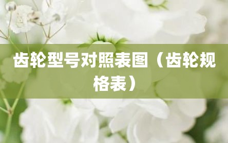 齿轮型号对照表图（齿轮规格表）