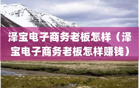 泽宝电子商务老板怎样（泽宝电子商务老板怎样赚钱）