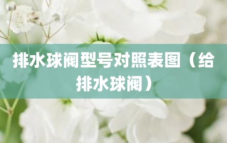 排水球阀型号对照表图（给排水球阀）
