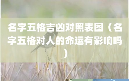 名字五格吉凶对照表图（名字五格对人的命运有影响吗）