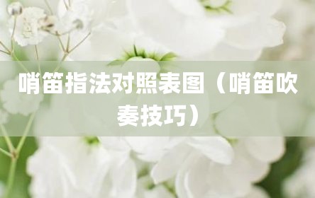 哨笛指法对照表图（哨笛吹奏技巧）