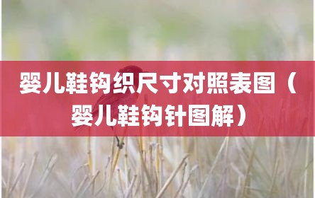 婴儿鞋钩织尺寸对照表图（婴儿鞋钩针图解）