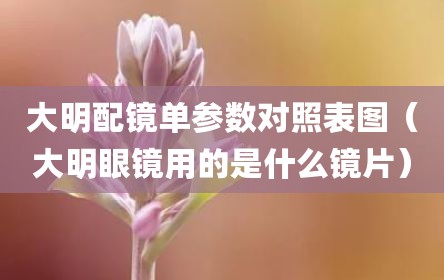 大明配镜单参数对照表图（大明眼镜用的是什么镜片）